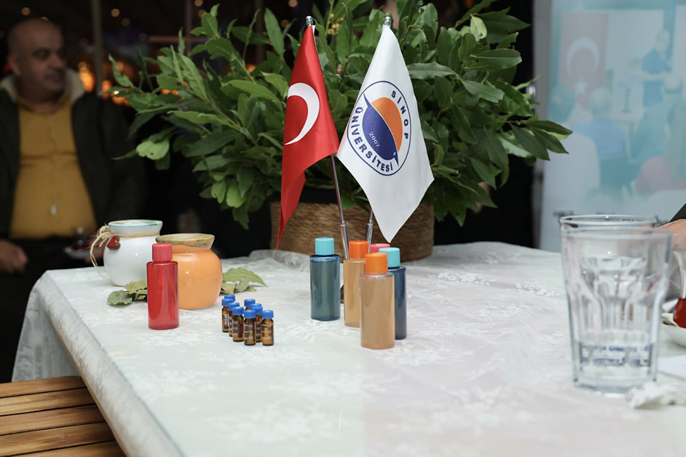 Defne Bitkisinin Bilimsel Yolculuğu